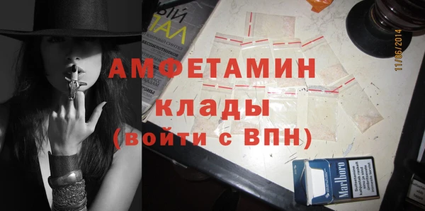 твердый Арсеньев