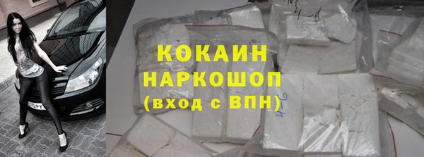 твердый Арсеньев