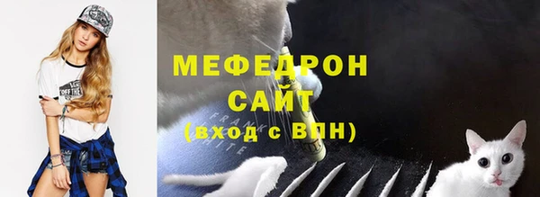 твердый Арсеньев