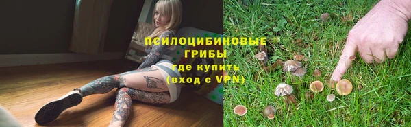твердый Арсеньев